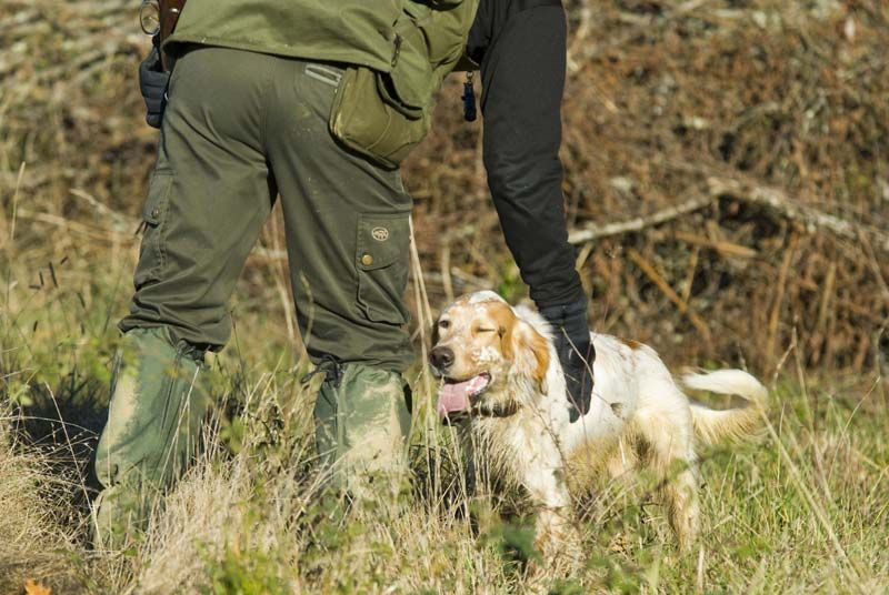 Jäger mit Jagdhund auf einer Wiese